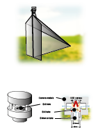 Automated Malaise trap