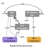 Structural equation model