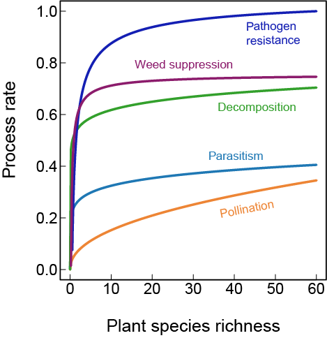 Biodiversity affects ecosystem services