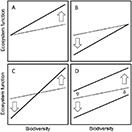 Biodiversity effects strengthen over time