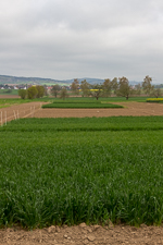 Crop rotation experiment