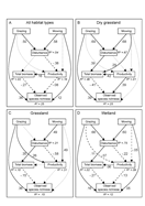 Structural equation models linking productivity and plant biodiversity