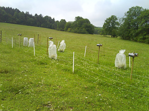 Electric fences and predator exlosures with trap nests