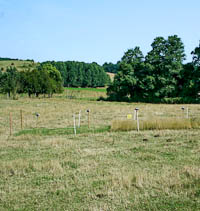 Grassland exclosure plot