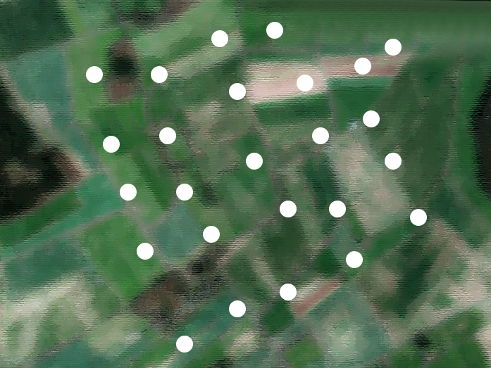 Sampling grid for one 1x1-km landscape