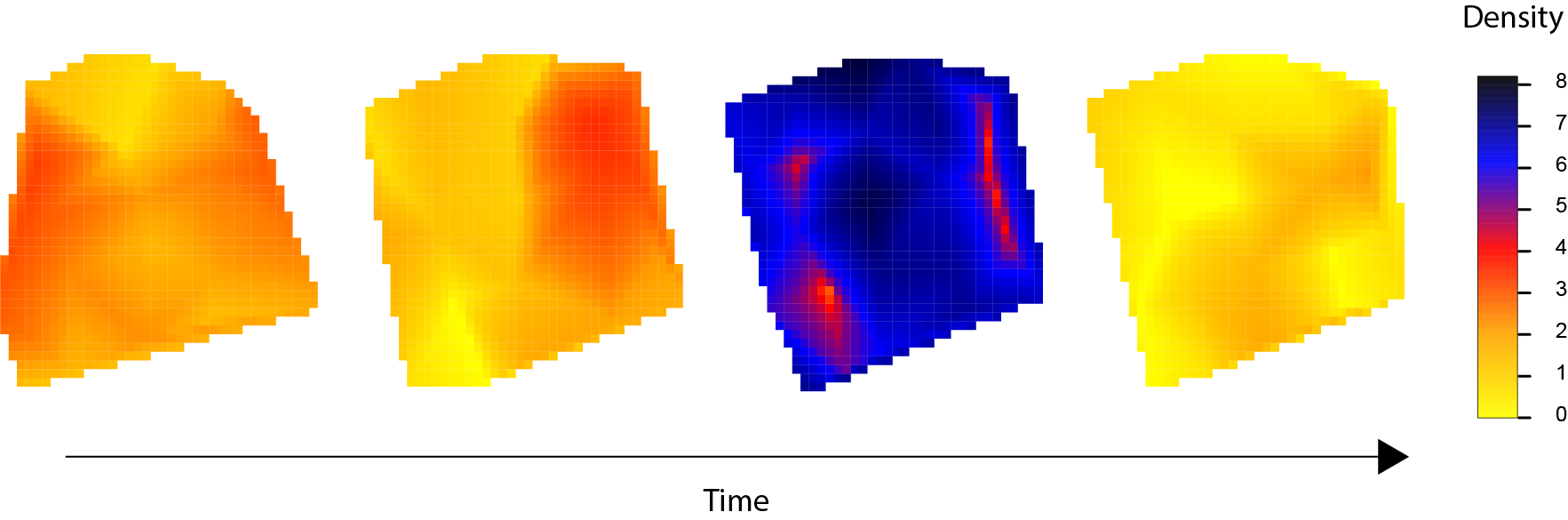 Grid-based sampling approach to study biodiversity on a landscape scale