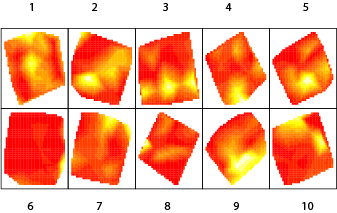 Abundance patterns in 10 replicated landscapes